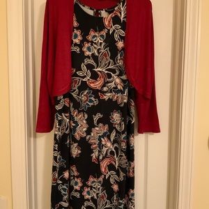 Ann Taylor Dress and Shrug